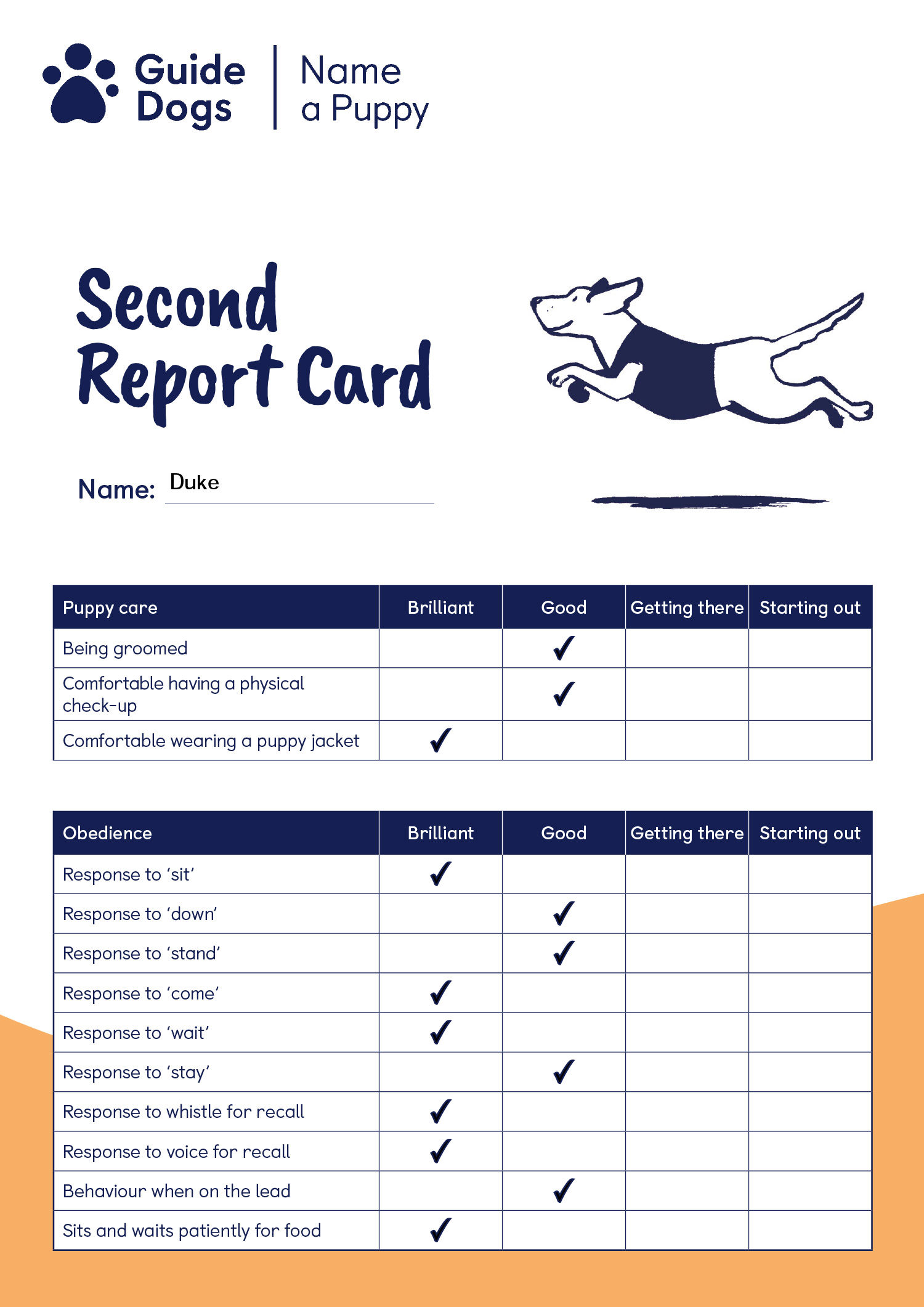 Duke Report Card 01